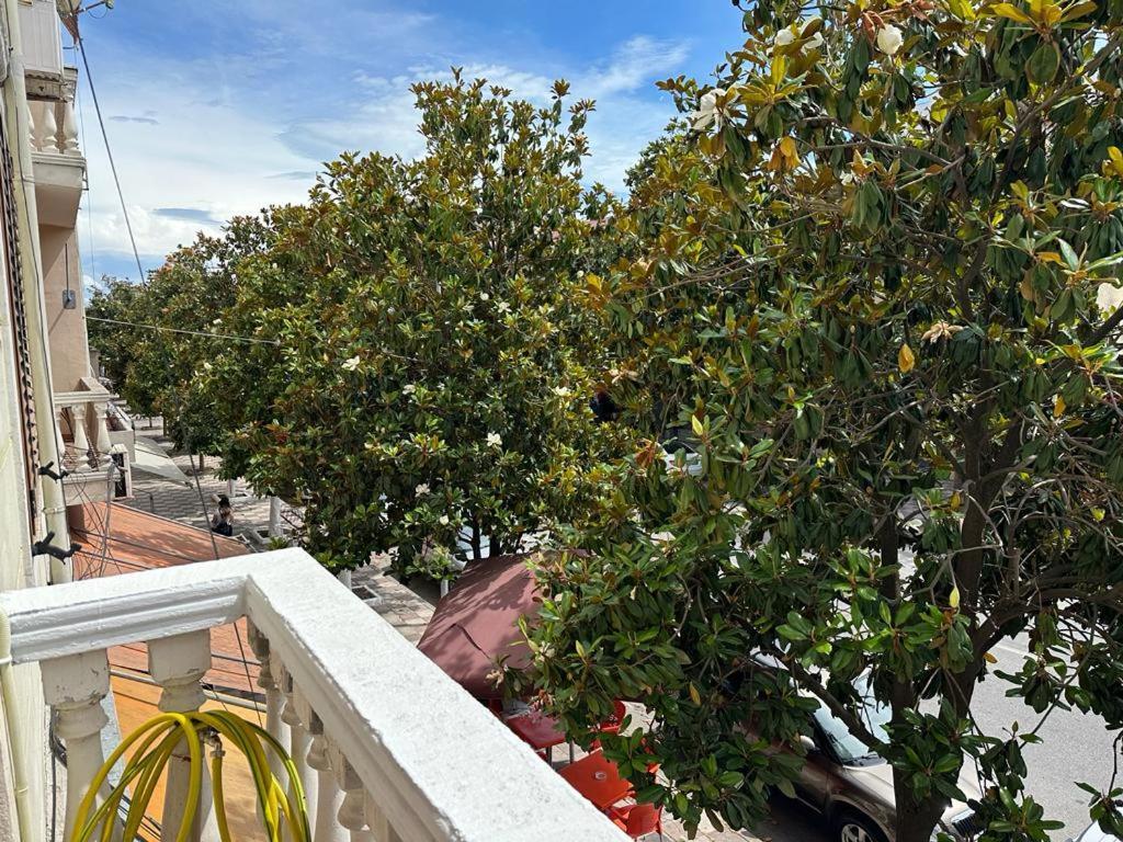 City Center Shkodra B&B Ngoại thất bức ảnh